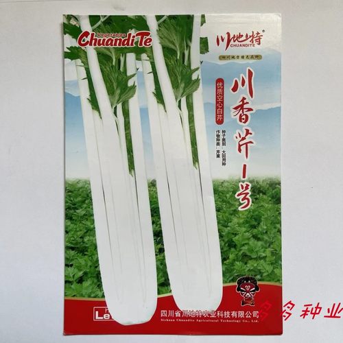 川香芹1号空心白芹种子嫩白香味浓中空耐寒抗热大田芹菜种籽高产