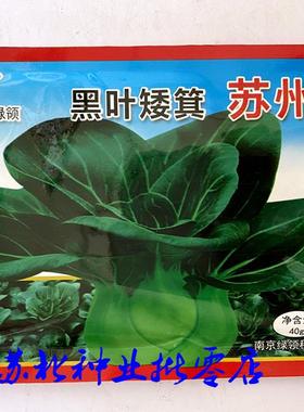 夏秋播种黑亮黑叶矮箕苏州青种子优质稳产耐热耐寒农家菜种