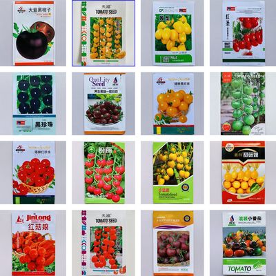 小番茄种千禧四季瓜果蔬菜大西红柿籽珍珠圣女果混装家庭院阳台