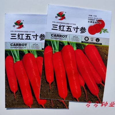 三红五寸参红萝卜种子甜脆高产夏秋季易播种胡萝卜籽蔬菜种子