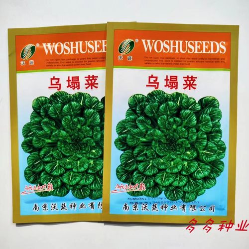 乌塌菜种籽蔬菜种子高钙营养蔬菜养心菜菊花心大白菜种籽