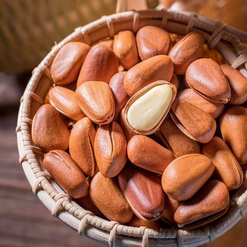 东北开口红松子2025新货手剥松子坚果大颗粒散装零食干果薄皮特产