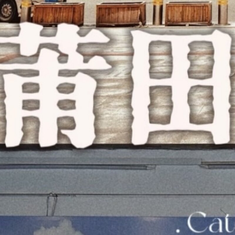 莆田才子 得物抖音推荐 按图片发货 送运费险 时尚全新男女鞋