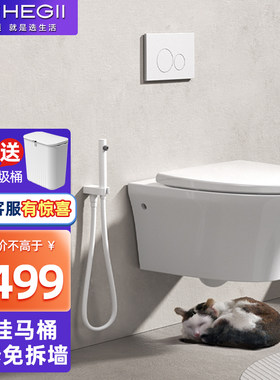 挂墙式马桶恒洁壁挂式智能坐便器