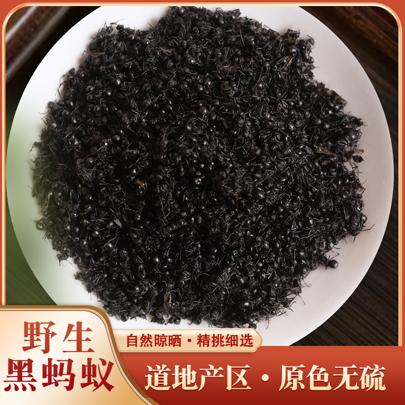 东北野生黑蚂蚁中药材500g250g克可泡酒正品大黑蚂蚁干另售红蚂蚁