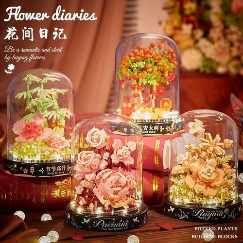 【浪漫永生】香槟玫瑰积木永生花拼装玩具橘子树摆件情侣节日礼物
