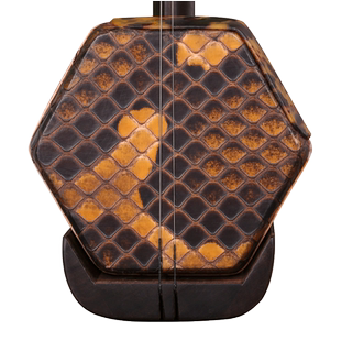 陆林生二胡四星明清旧料老红木二胡琴林生二胡专业演奏考级乐器