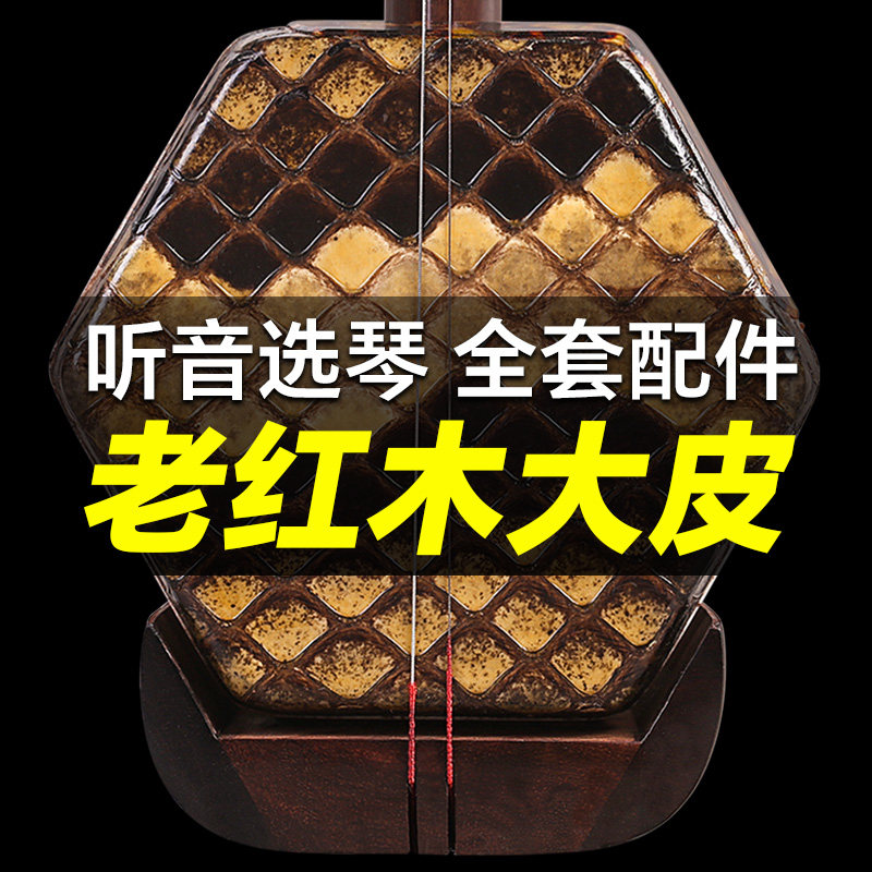 二胡乐器大皮大菱格明清旧料老红木专业演奏厂家直销考级二胡琴