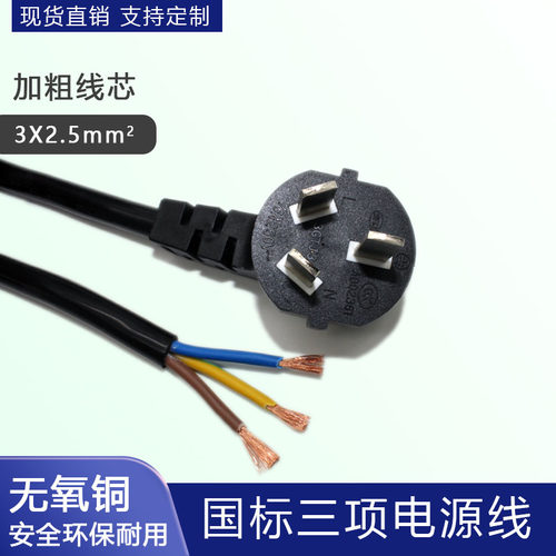 纯铜16A插头线国标认证