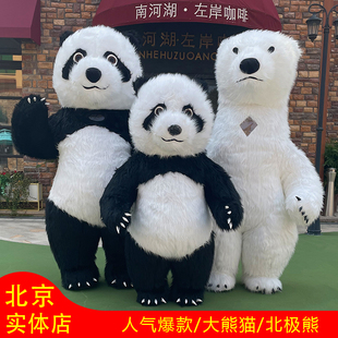 租网红大熊猫充气人偶服装出租抖音同款白熊人偶活动演出服装租赁