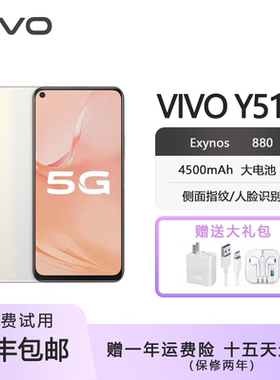 vivo Y51s 全网通双模5G 4500毫安大电池 6.53英寸屏 高清自拍智