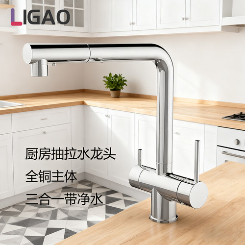丽高卫浴三合一厨房水龙头
