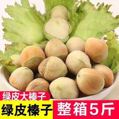 东北特产新鲜绿皮水仁大榛子新货水仁青皮水瓤坚果原味青皮大榛子