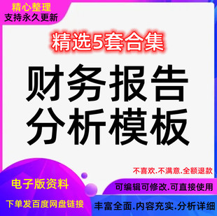 财务报表分析报告word公司案例电子文档总结汇报企业模板成品资料