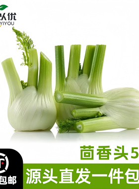 可选顺丰】茴香头新鲜蔬菜球茎茴香西餐香料茴香根西餐配菜炒牛肉