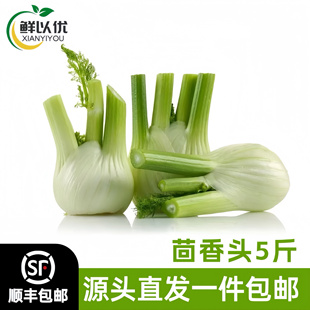 可选顺丰】茴香头新鲜蔬菜球茎茴香西餐香料茴香根西餐配菜炒牛肉