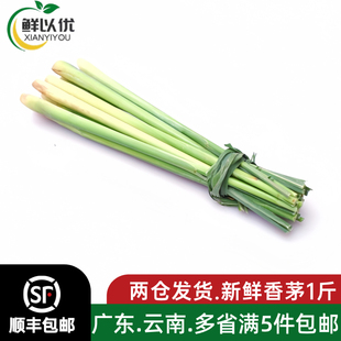 新鲜香茅草柠檬草香茅香料菜奶茶店用品调料泰国冬阴功汤料原料