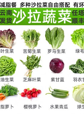 蔬菜沙拉食材新鲜蔬菜混合生菜可生吃即食沙拉菜轻食西餐专用沙拉