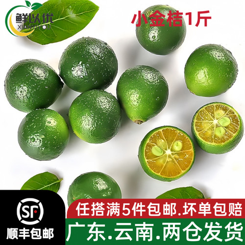 正宗海南小金桔奶茶店专用金桔小青柠檬新鲜皮薄多汁满30顺丰包邮