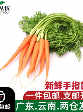 手指萝卜新鲜带叶迷你萝卜沙拉蔬菜食材小红胡萝卜西餐水果蔬菜
