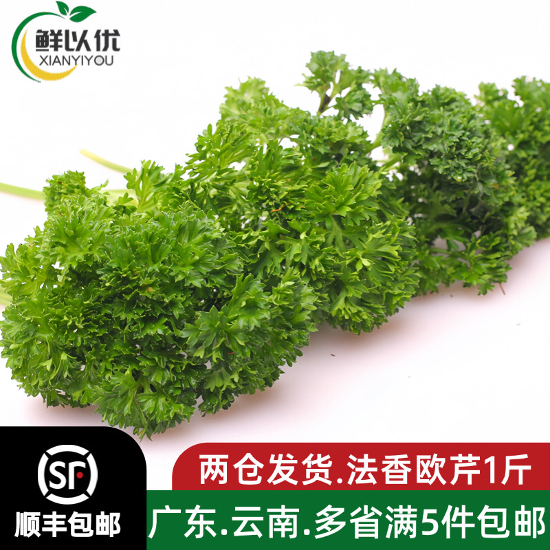新鲜番西法国香芹荷兰欧芹西洋芹西餐厅摆盘装饰用品新鲜番西蔬菜