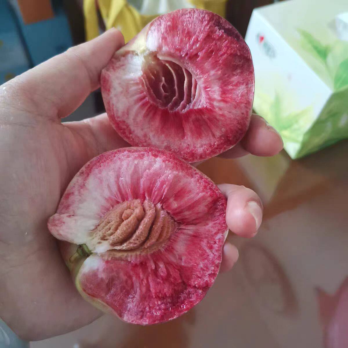 桐柏朱砂红桃老树血桃现摘现发