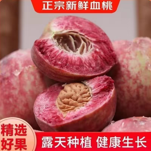 桐柏朱砂红桃老树血桃现摘现发