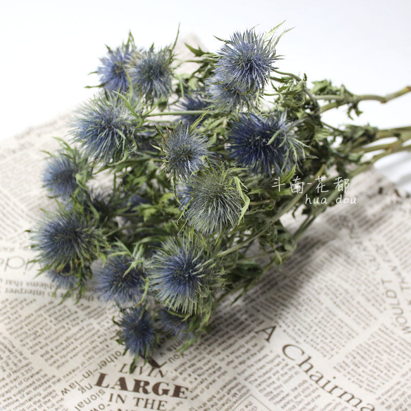 刺芹干花 情人果永生花 花瓶店铺装饰 小清新花材,鲜花速递/花卉仿真/绿植园艺,干花,淘宝优惠券,粉丝福利购,淘宝优惠卷