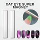 Magnetic Pen Cat 2pcs Art Painting Eye Nail Nails Des