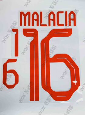 荷兰队2022世界杯客场球员版印字 多选 范戴克贝尔温 PolyGraphic