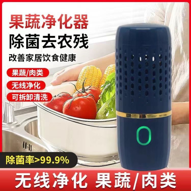 超声波果蔬清洗机家用水果蔬菜净化器食材杀菌机去农残洗菜机迷你
