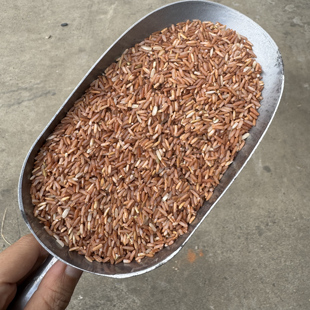 带胚芽不耐放海南澄迈农家红糙米龙吉村红米