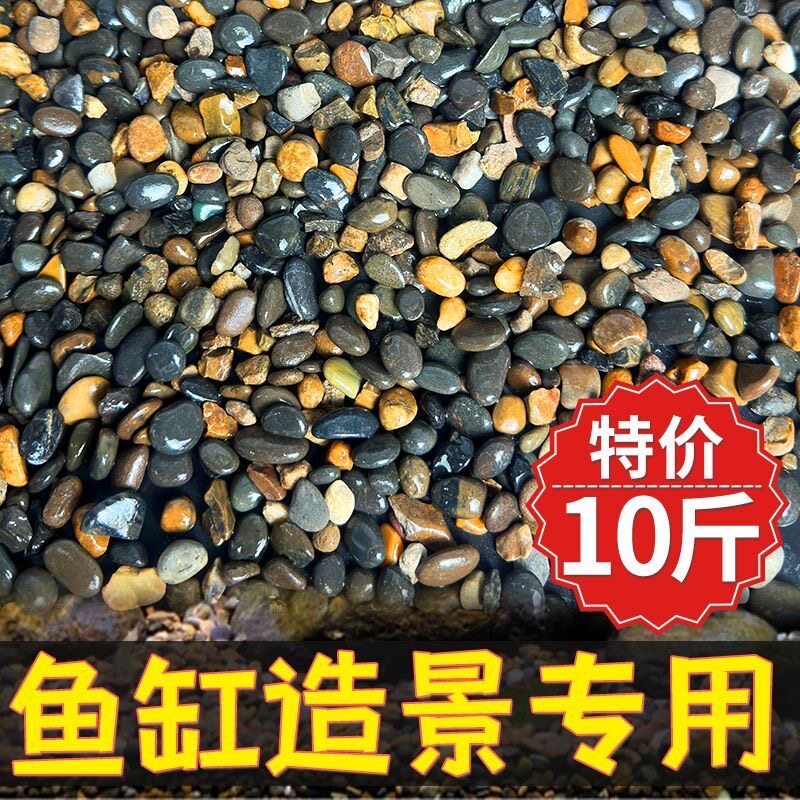 50斤溪流石天然鹅卵石鱼缸铺底砂石造景石子水箱沼泽过滤原生豆石图片