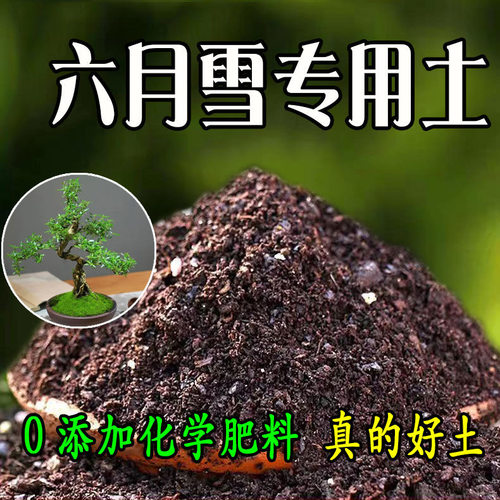 怡林六月雪专用酸性泥炭营养土