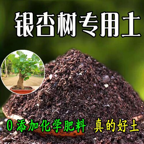 银杏树适用土100L疏松透气通用