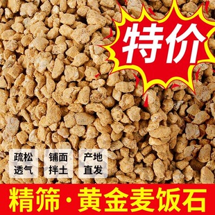 黄金软麦饭石颗粒多肉专用纯颗粒营养土壤绿植盆栽植物通用铺面石