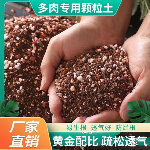 多肉植物营养土泥炭土多肉土叶插换盆土多肉专用土纯颗粒土铺面石