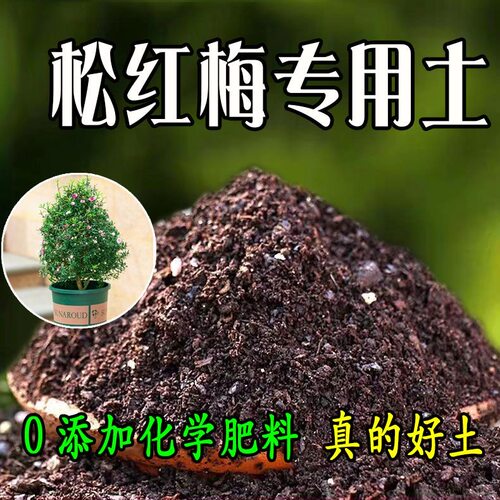 松红梅盆栽透气泥炭土
