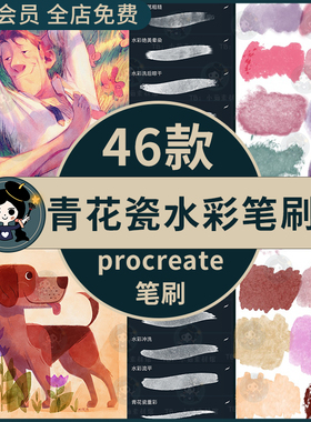 procreate水彩插画笔刷青花瓷水墨质感肌理CG勾线淡彩上色ipad
