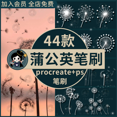 漫天飞舞蒲公英ps笔刷procreate笔刷 梦幻飘散飘落植物草本绘画