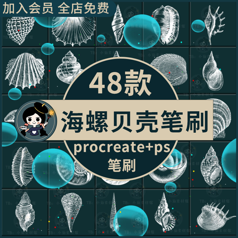 ipad绘画手绘海螺贝壳扇贝海洋动物元素插画procreate/ps笔刷