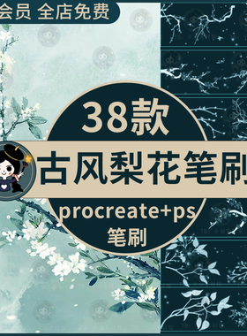 手绘唯美古风水墨梨花梨树枝条花瓣花卉线稿植物procreate+ps笔刷