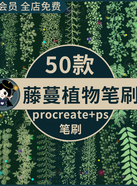 手绘绿色植物藤蔓攀爬藤条叶子蕨类装饰插画procreate笔刷ps笔刷