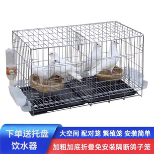 养鸽子专用笼子配对鸽子用品白鸽笼大号特大家用养殖折叠加粗鸽舍