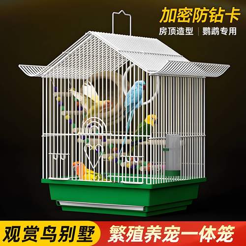 2024新款鸟笼子鹦鹉笼玄凤虎皮