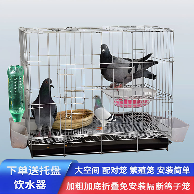 新型鸽子笼养鸽子专用折叠养殖笼室内新款繁殖笼赛鸽公棚白羽家用
