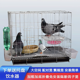 養鴿子專用籠新型白鴿子籠大空間繁殖大號特大加粗配對家用養殖籠
