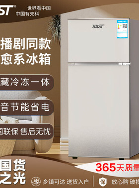 SAST小冰箱家用小型宿舍出租房冷冻冷藏迷你双开门电冰箱节能省电
