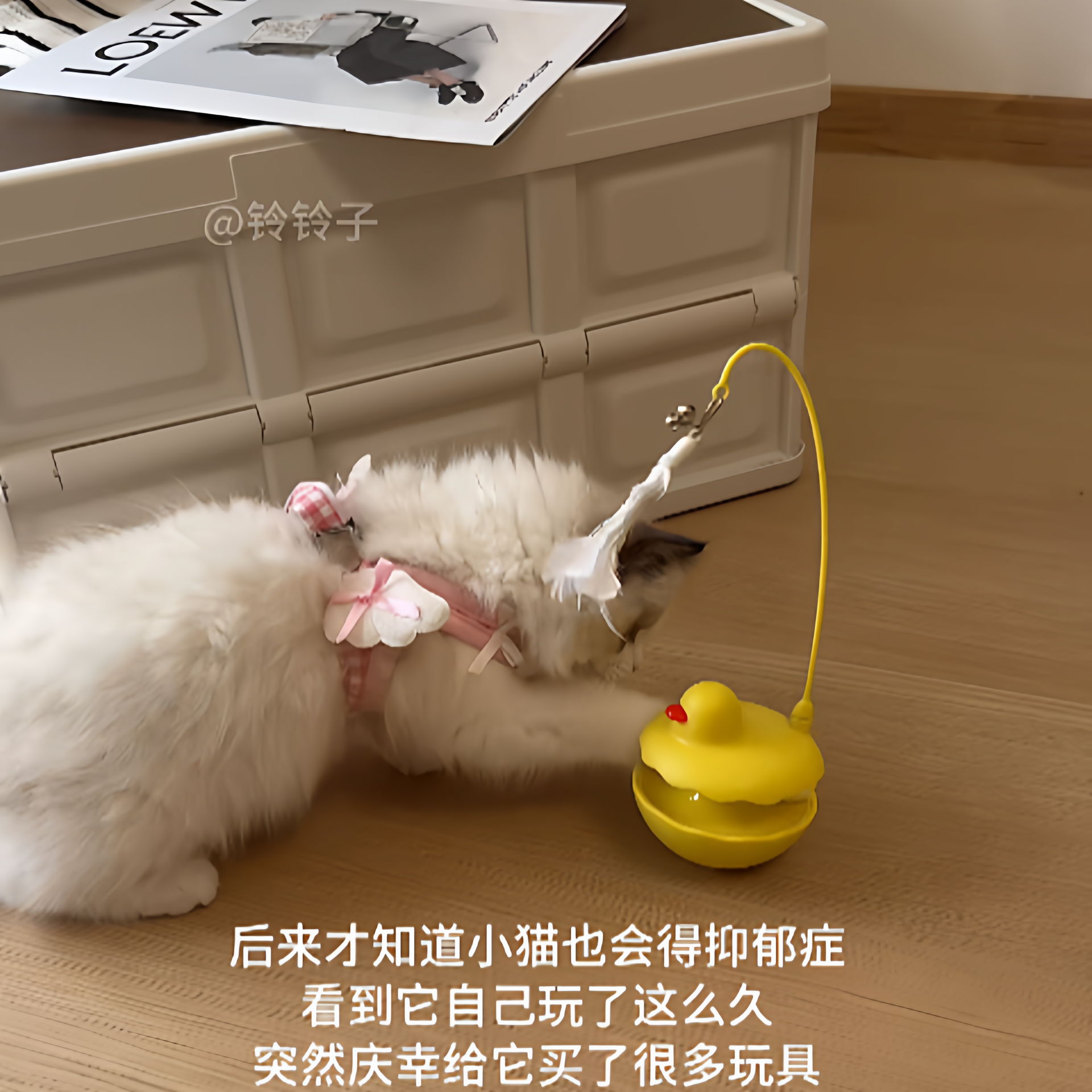 猫咪玩具旋转不倒翁逗猫棒虫瘿果自嗨解闷神器转盘球耐咬幼猫用品