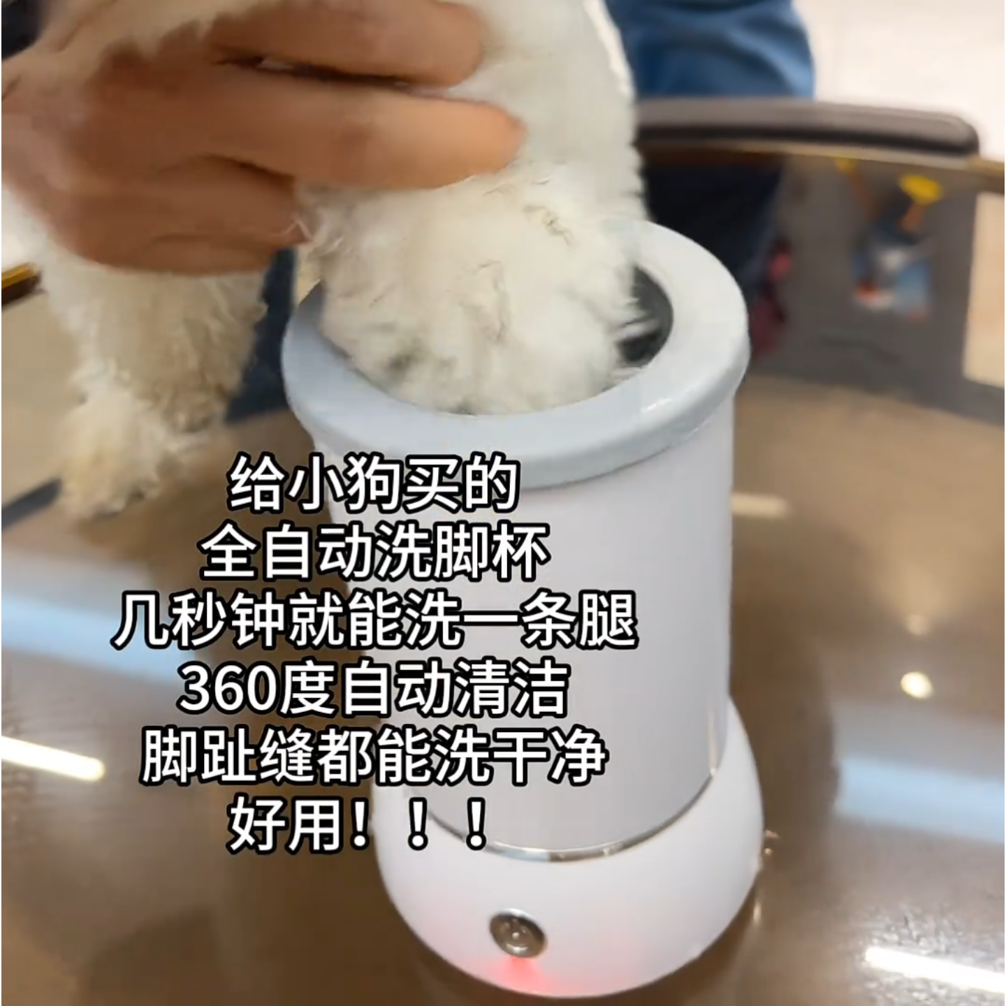 神器爆款宠物洗脚杯智能全自动狗狗猫咪清洁爪子清洁宠物清洁仪器